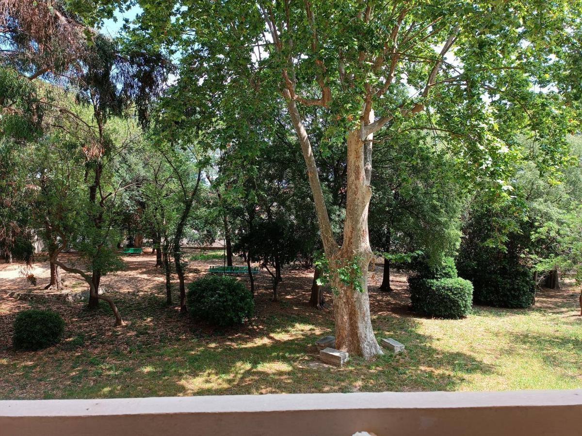Chez Isa Apartment Toulon Ngoại thất bức ảnh